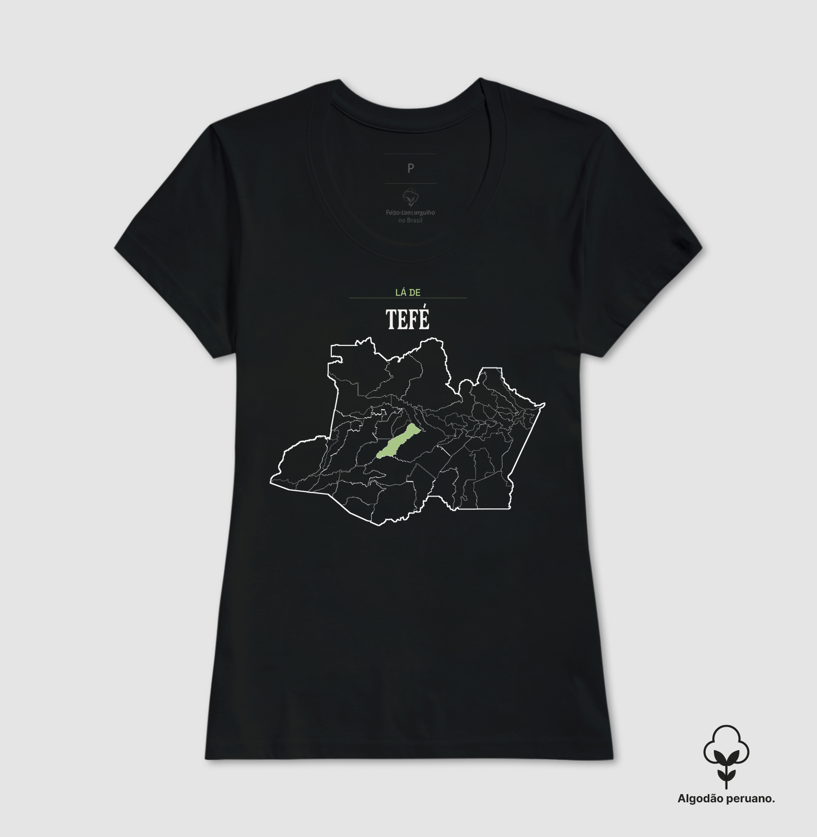 Tefé | Território AM - Imagem 6
