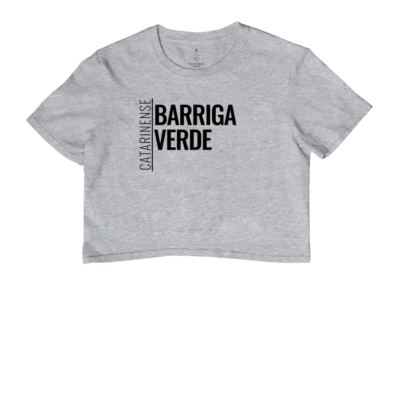 Catarinense — Barriga-Verde - Imagem 6