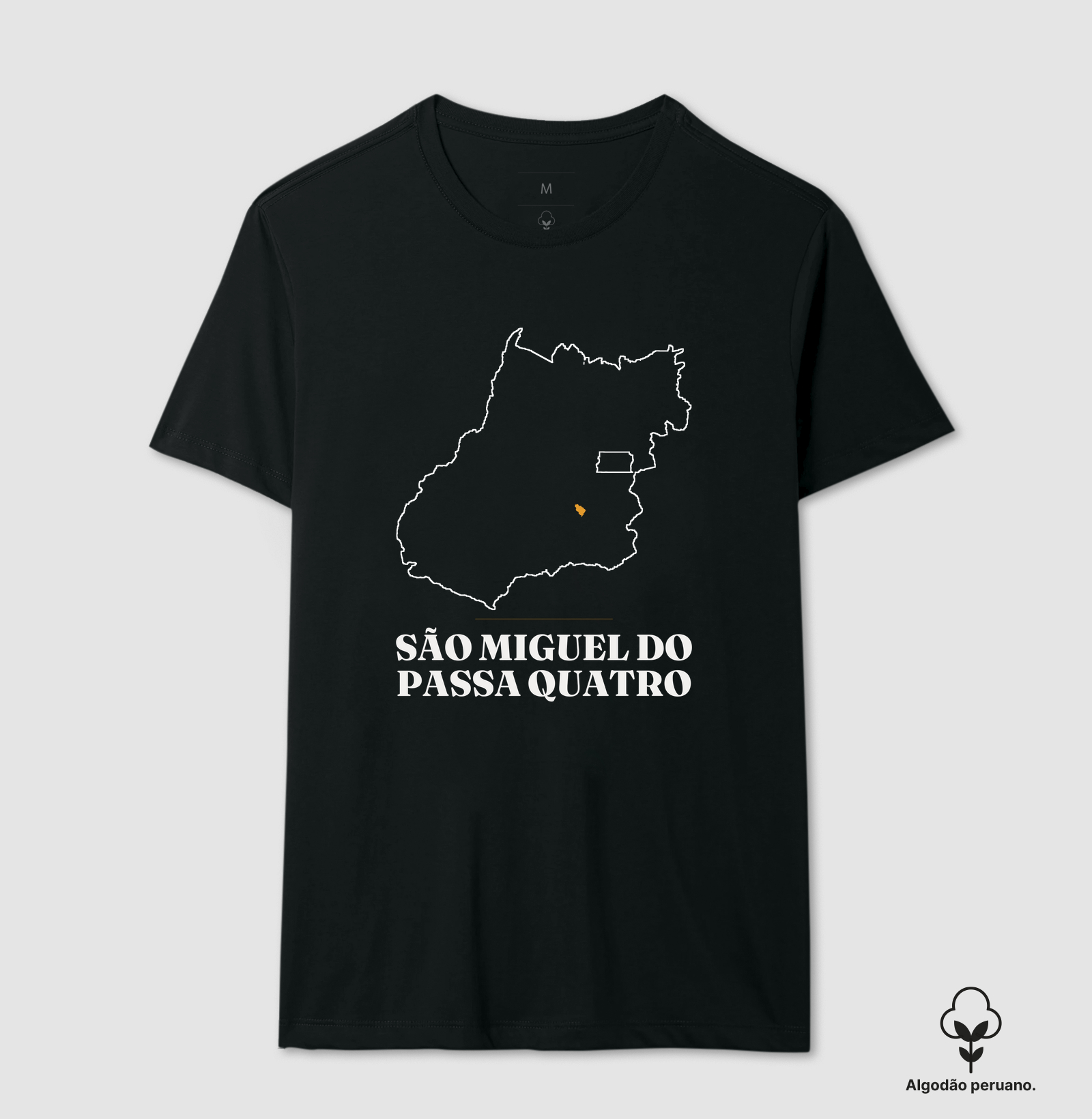 São Miguel do Passa Quatro | Traço GO - Imagem 2