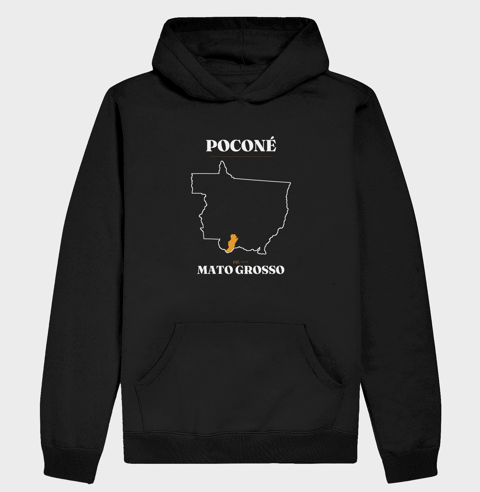 Poconé | Legado MT - Imagem 2