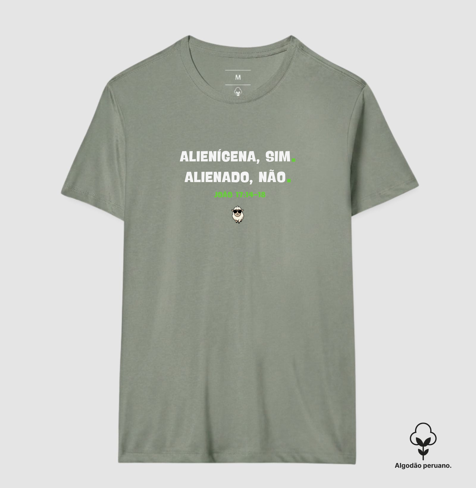 ALIENÍGENA SIM, ALIENADO NÃO - Imagem 8