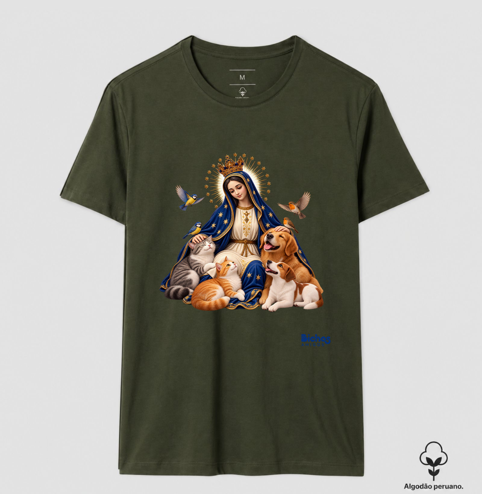 Nossa Senhora Aparecida - Imagem 4