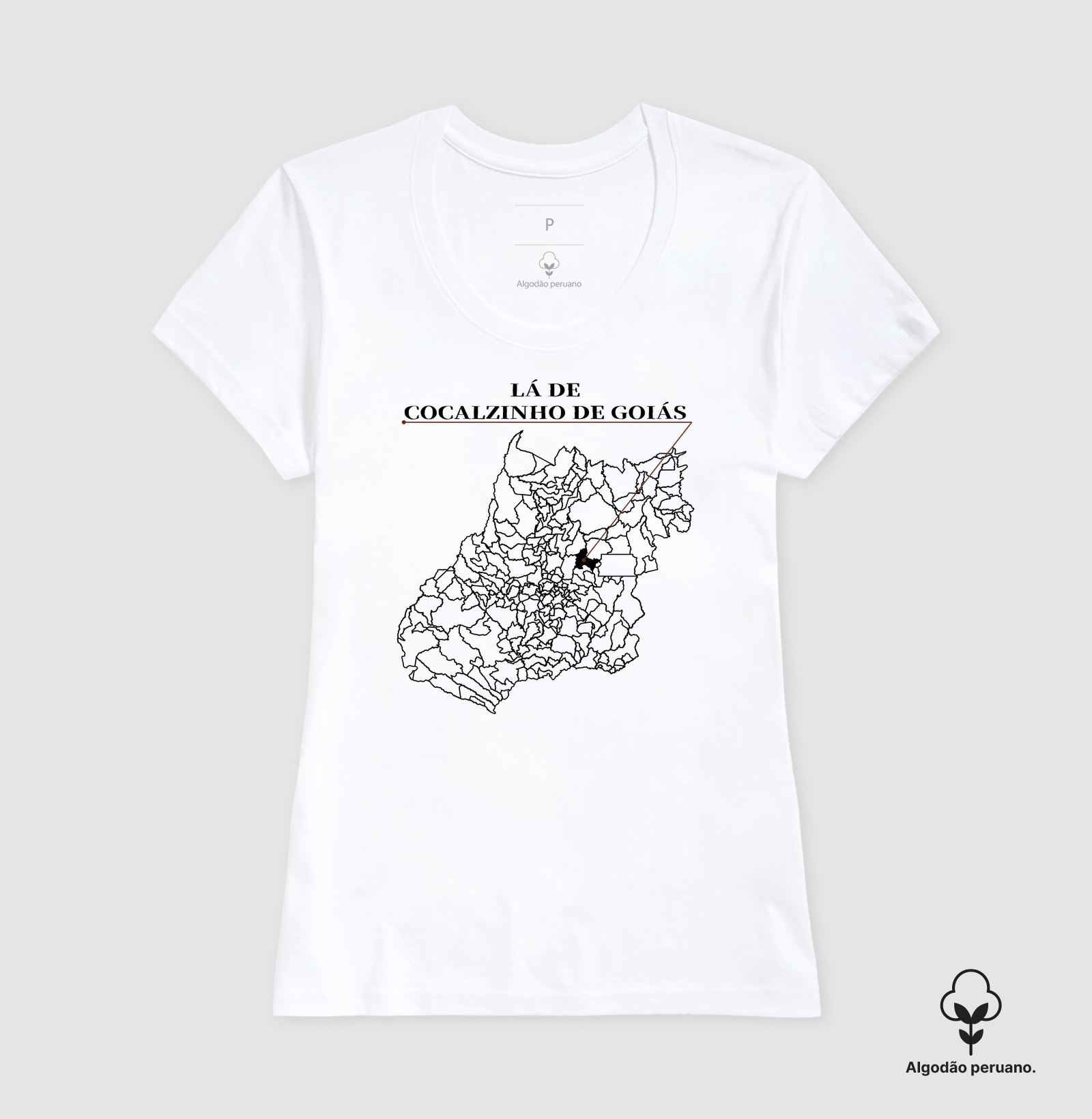 Cocalzinho de Goiás | Origem GO - Imagem 2