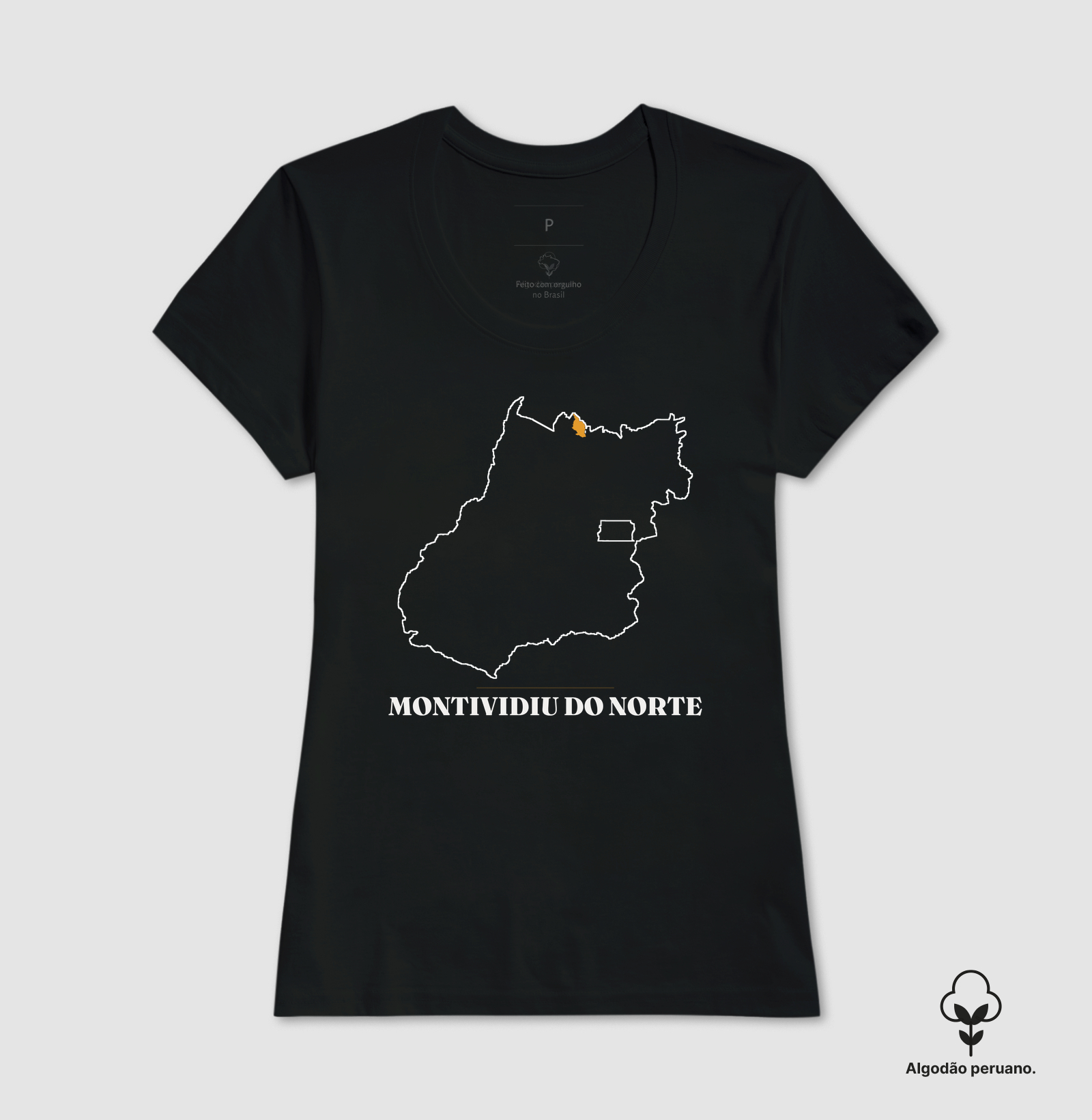 Montividiu do Norte | Traço GO - Imagem 2