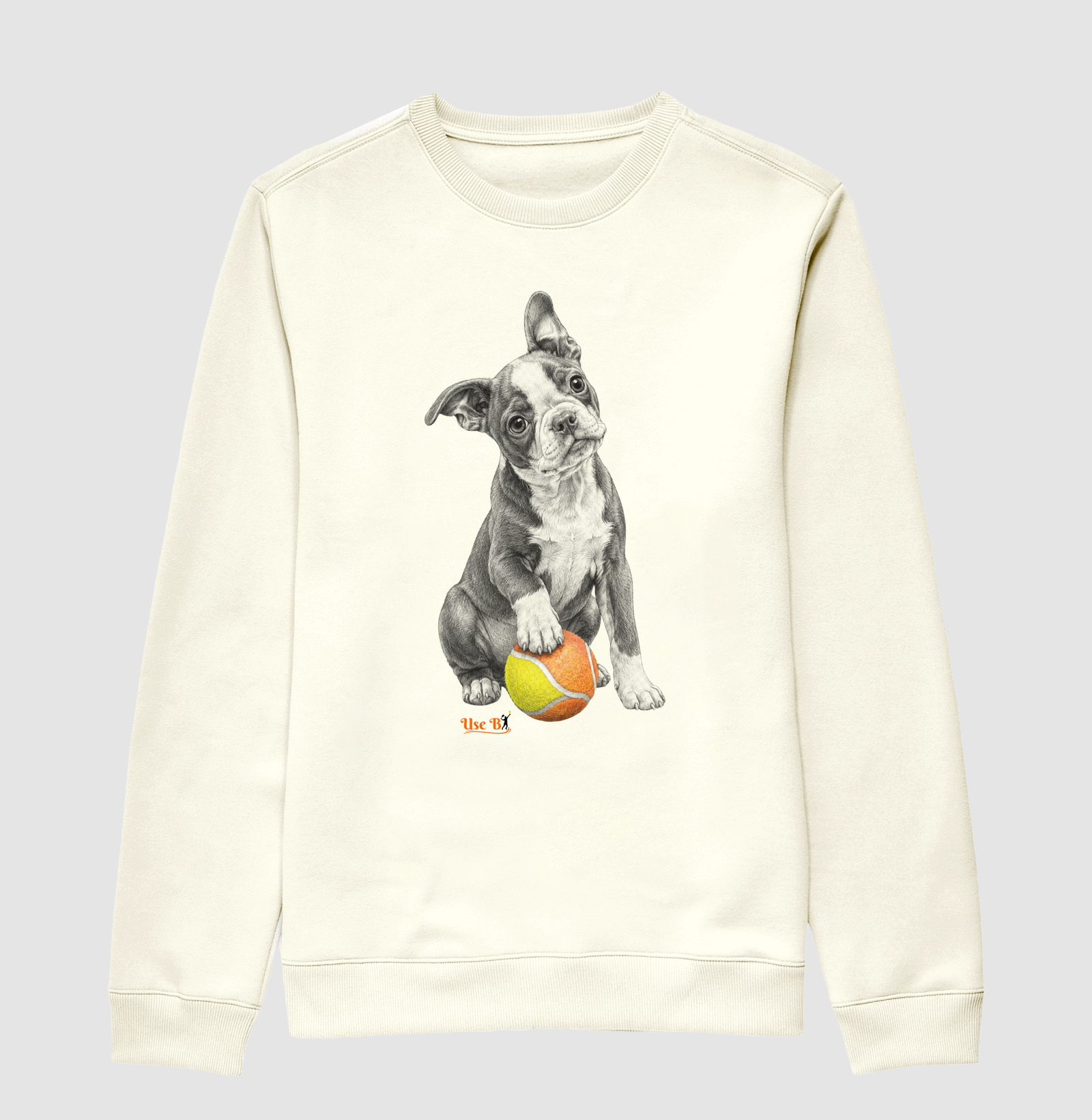 Boston Terrier do Beach - Imagem 2