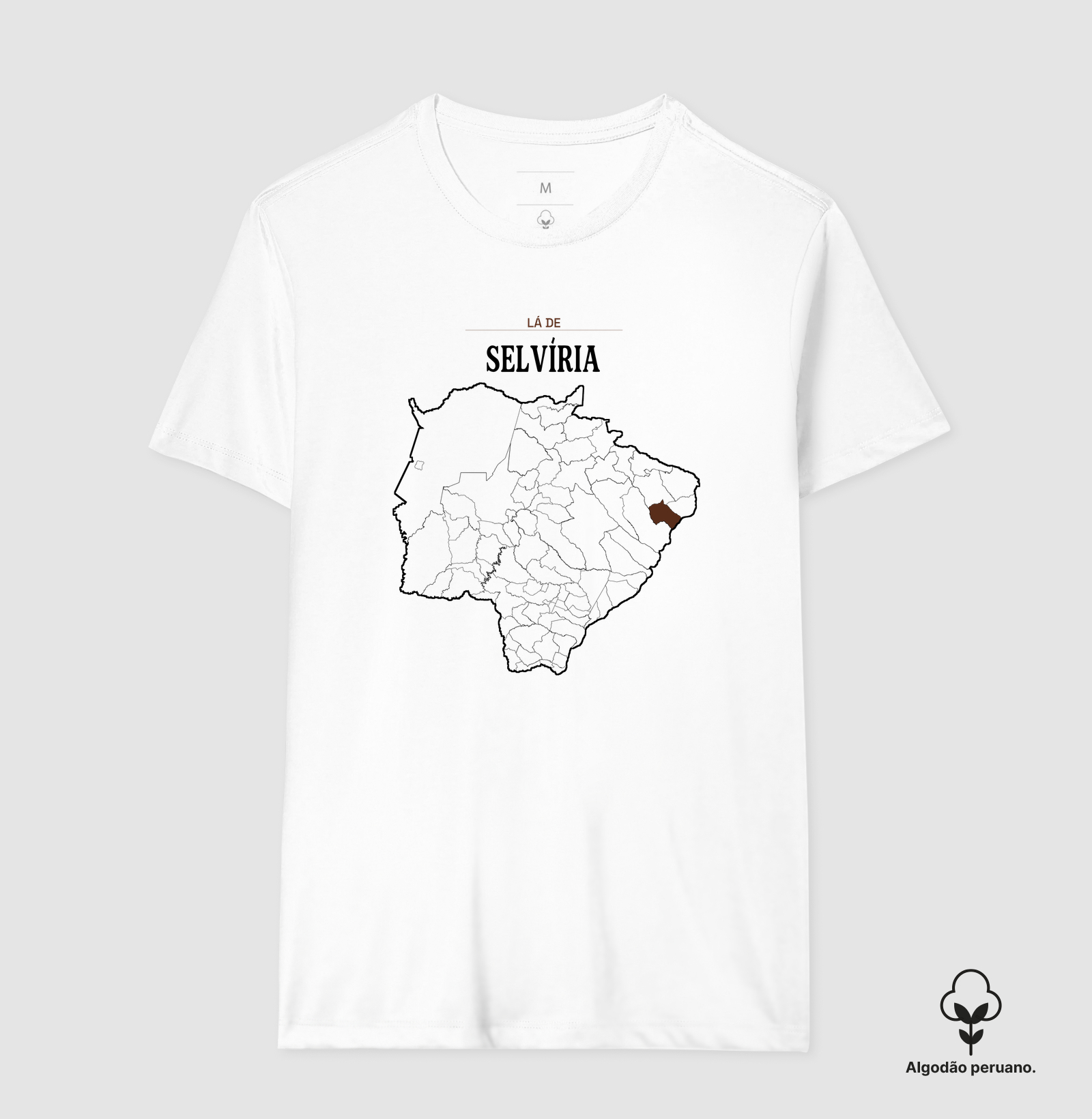 Selvíria | Território MS - Imagem 7