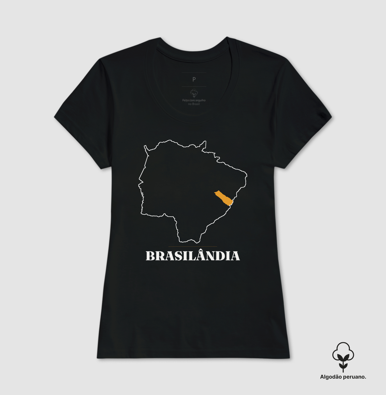 Brasilândia | Traço MS - Imagem 5