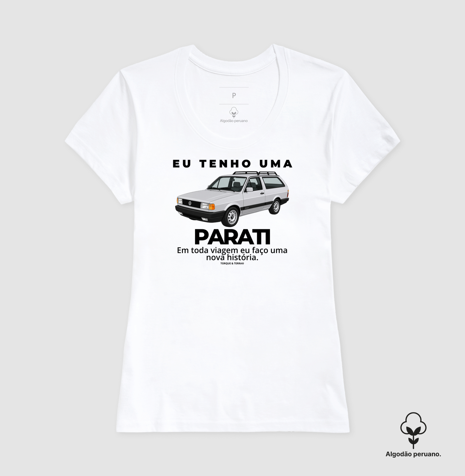 Eu tenho uma Parati prata - Imagem 6