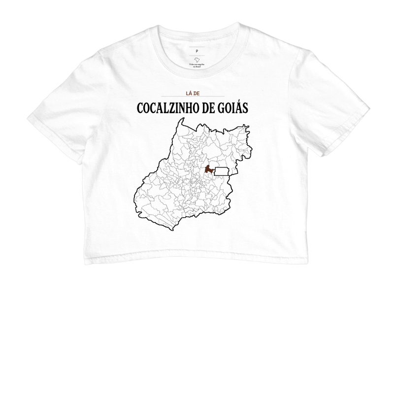 Cocalzinho de Goiás | Território GO - Imagem 3