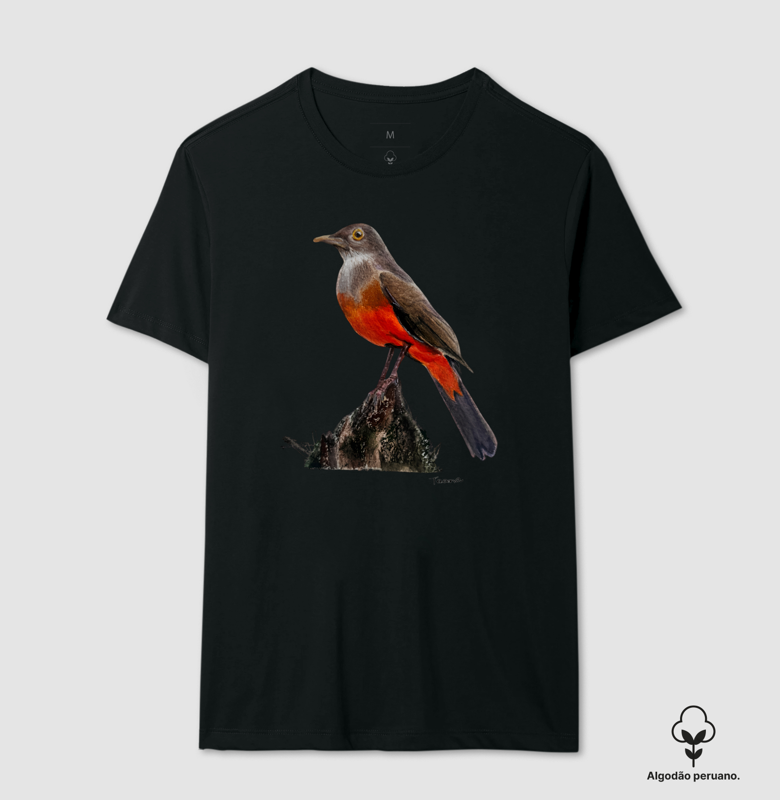 Camiseta Sabiá-Laranjeira – Aves do Brasil - Algodão Peruano - Imagem 5