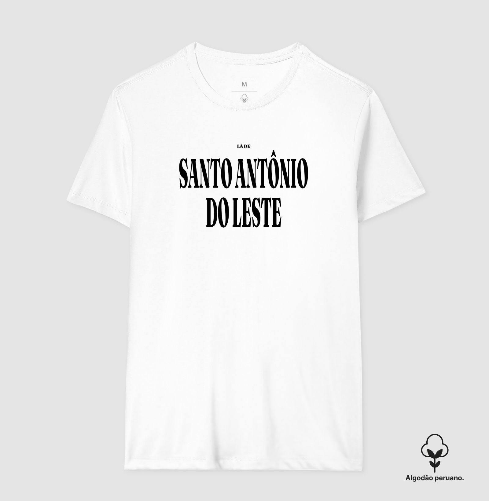 Santo Antônio do Leste | Tipografia MT - Imagem 8