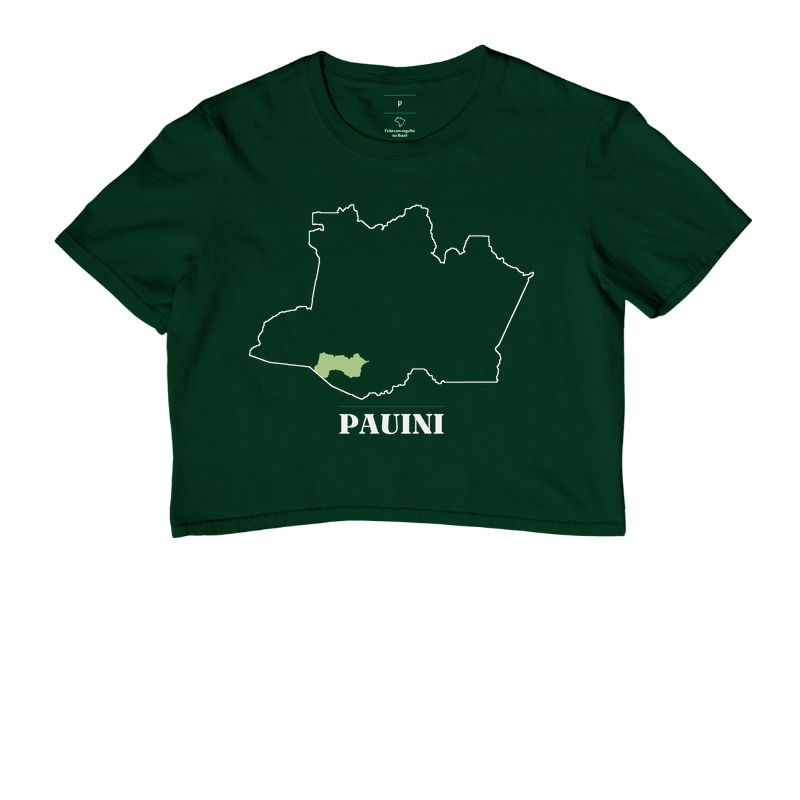 Pauini | Traço AM - Imagem 5