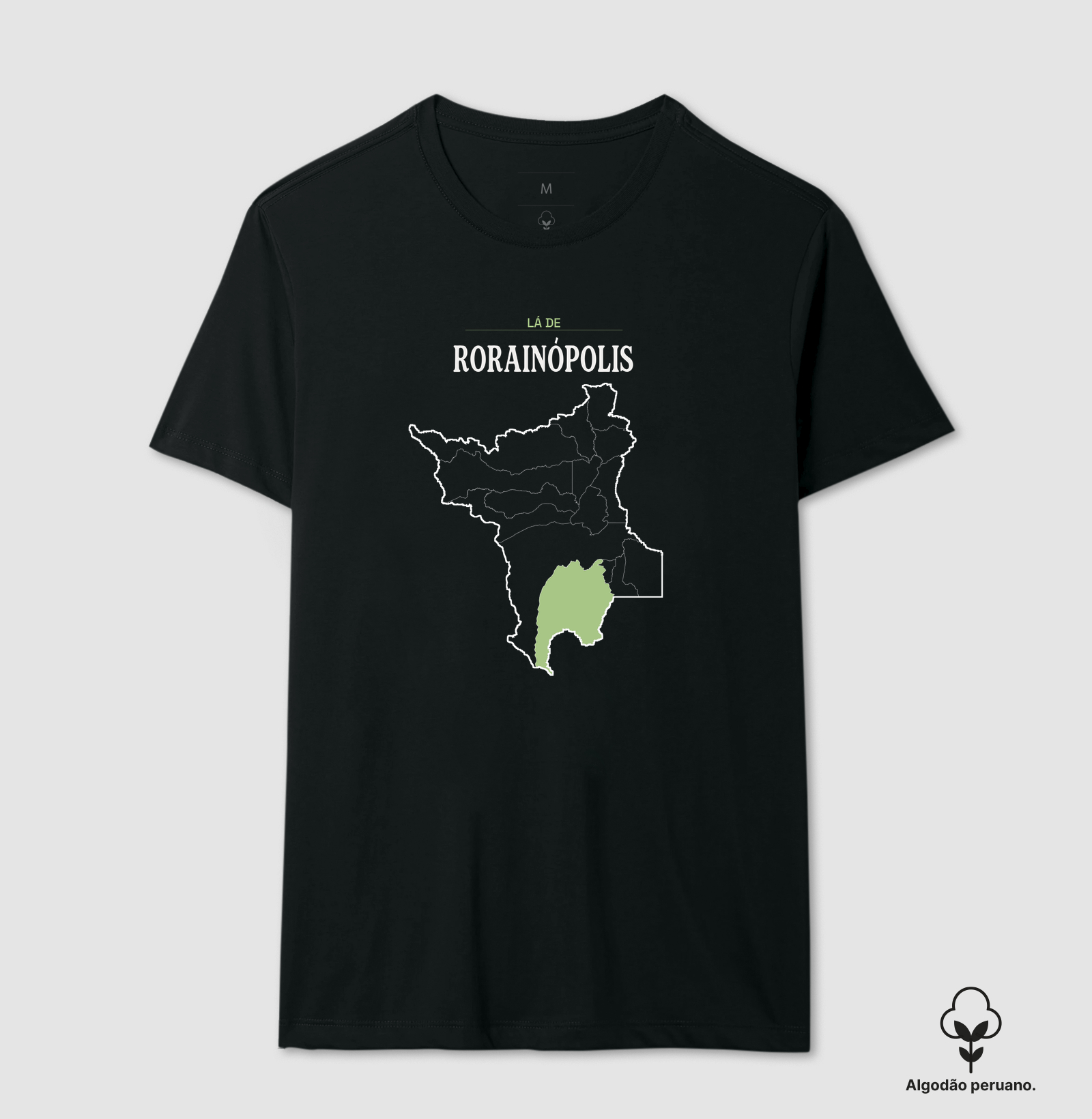 Rorainópolis | Território RR - Imagem 4