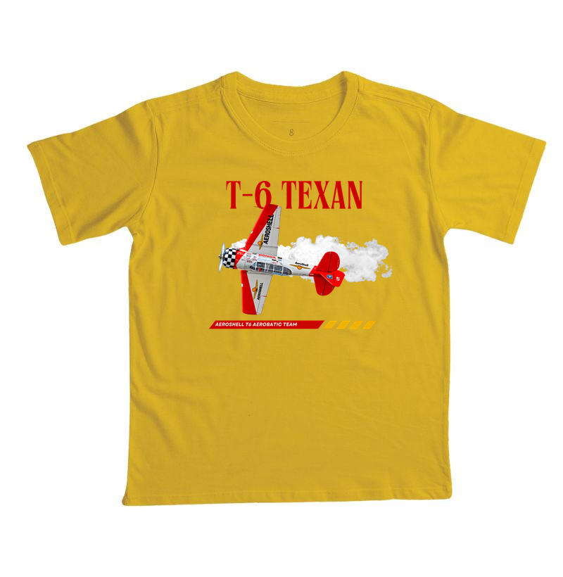 T-6 AeroShell - Imagem 4