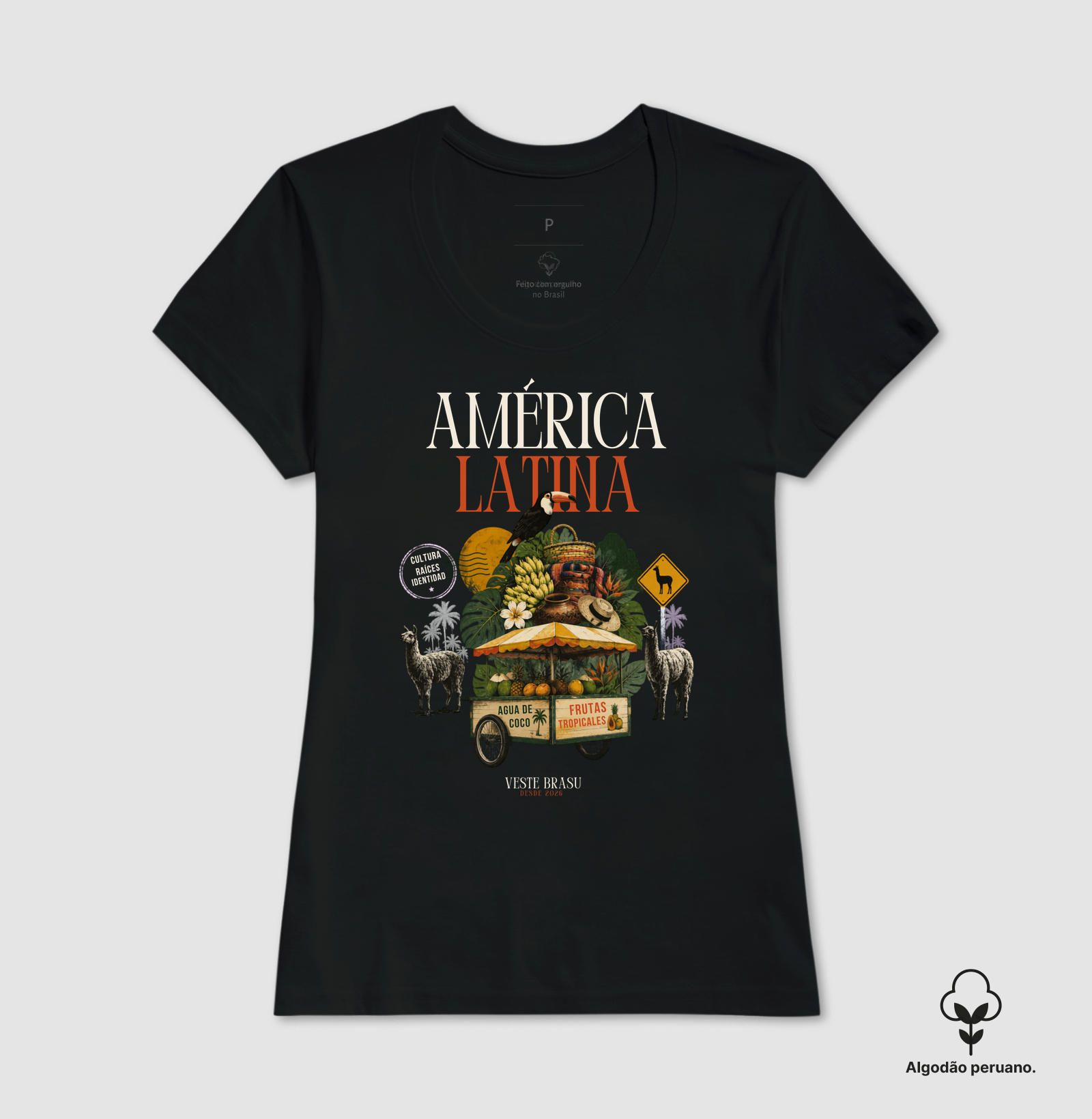 Camisa 1