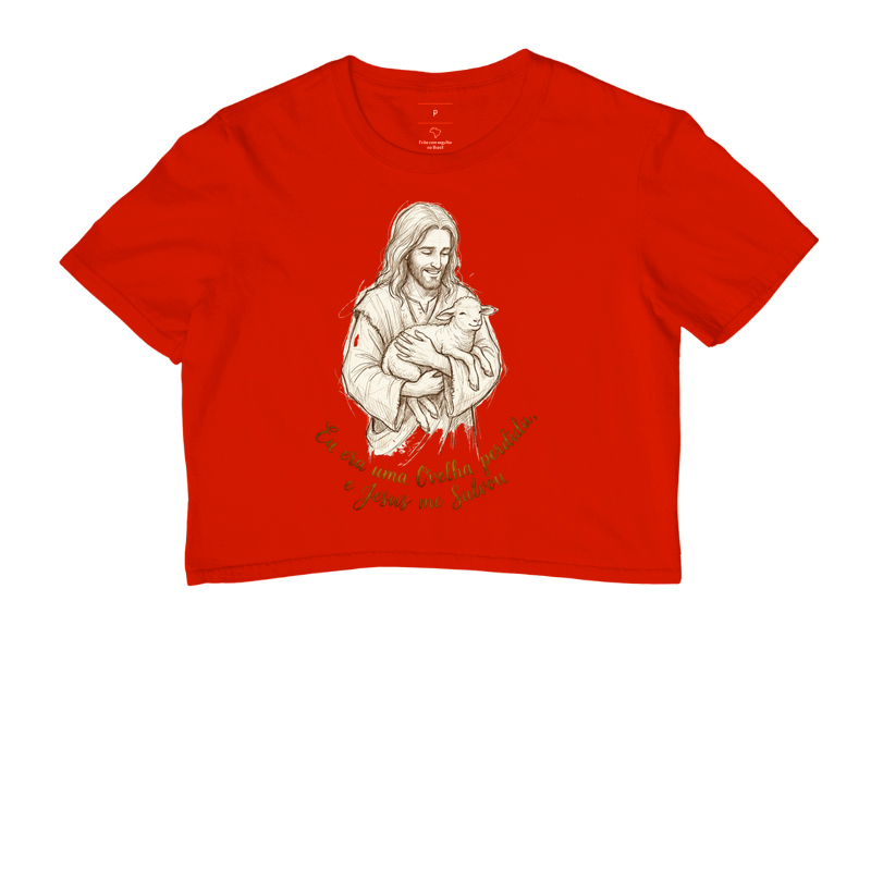 Jesus Ovelha Perdida - Imagem 7