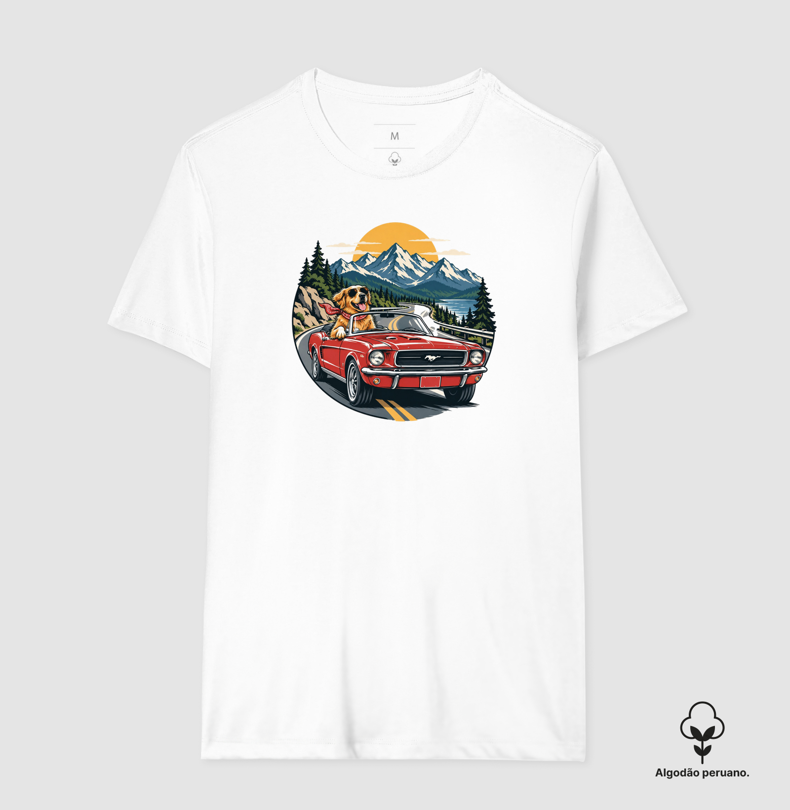 Road Trip - Imagem 3