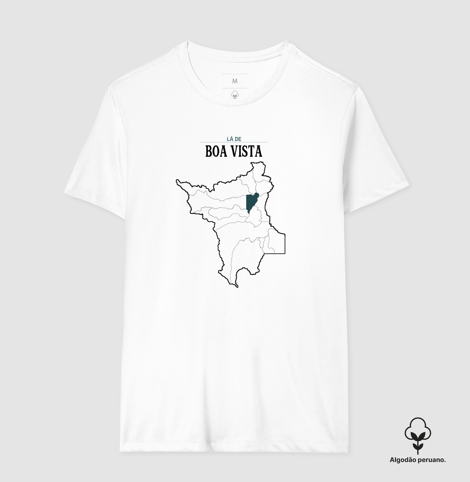 Boa Vista | Território RR - Imagem 4