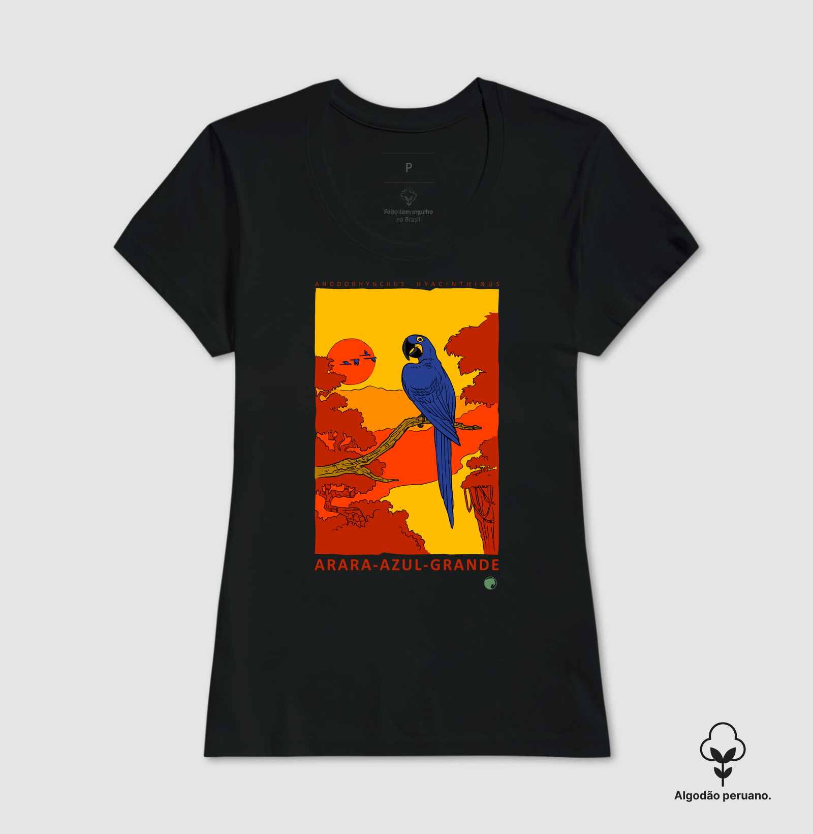 Arara-azul - Imagem 6