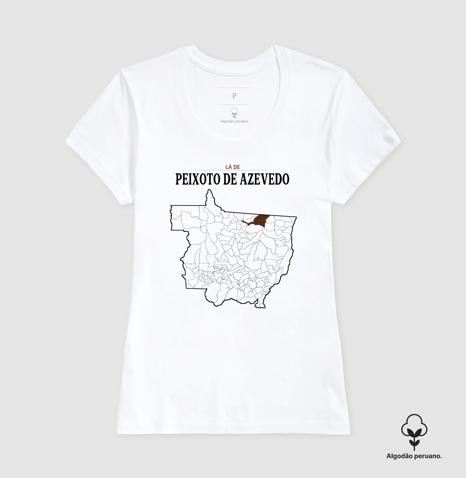 Peixoto de Azevedo | Território MT - Imagem 6