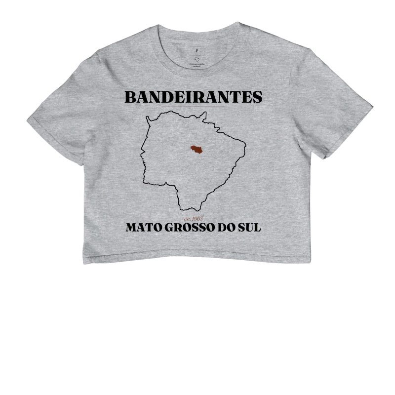 Bandeirantes | Legado MS - Imagem 6