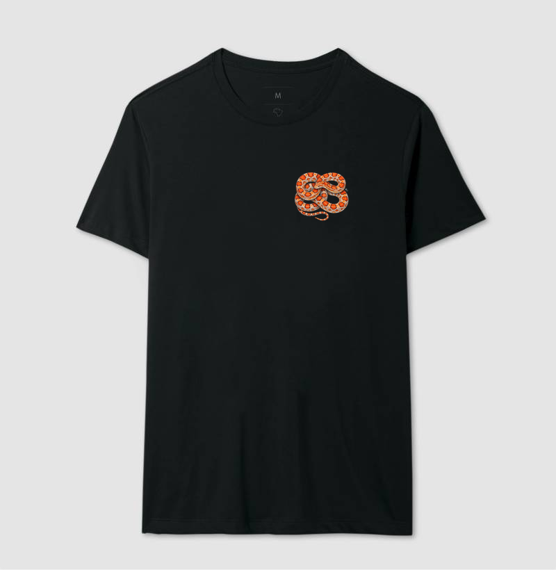 Répteis - Mini - Corn Snake - Imagem 4