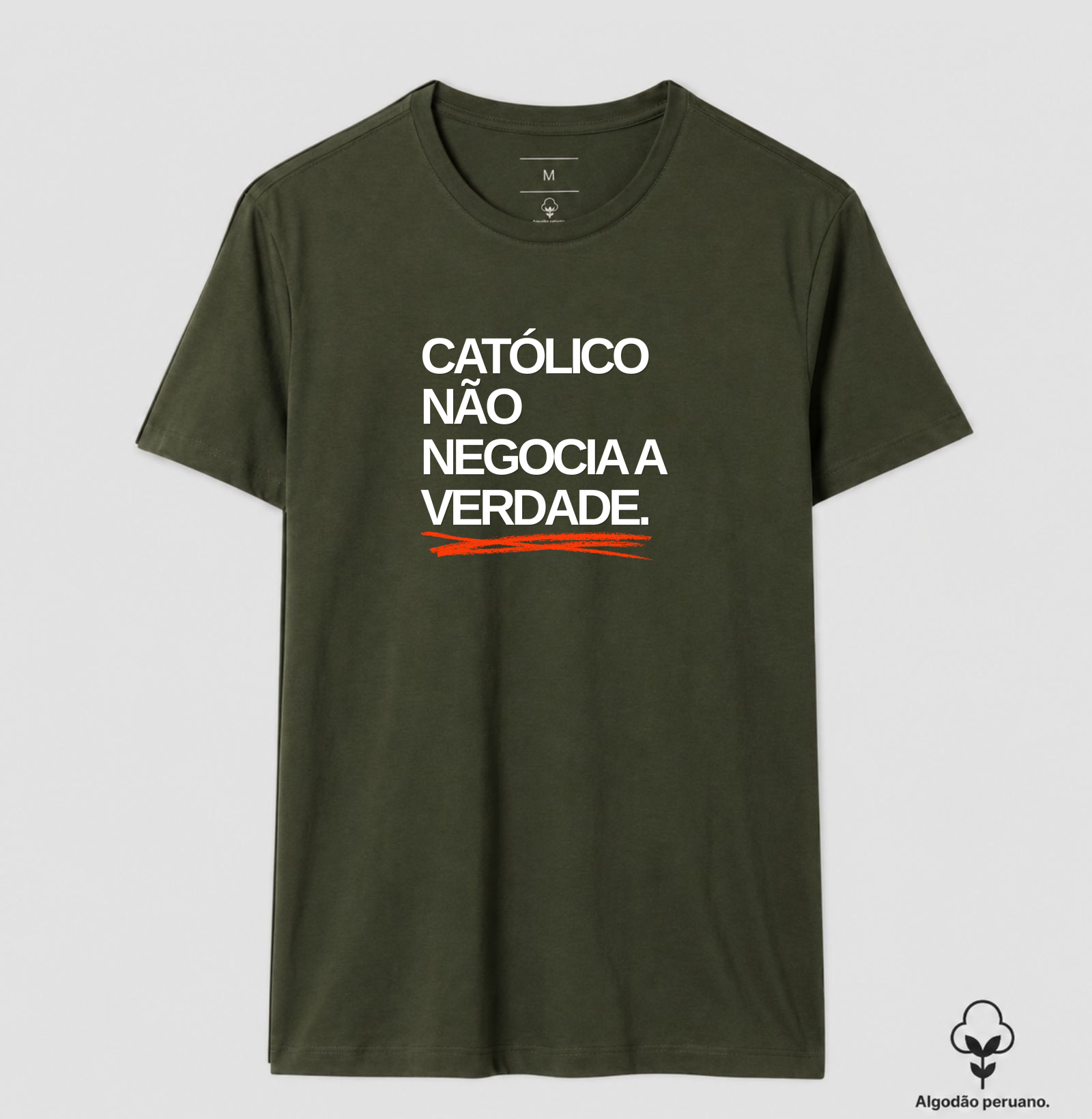 catolico não negocia a verdade - Imagem 7