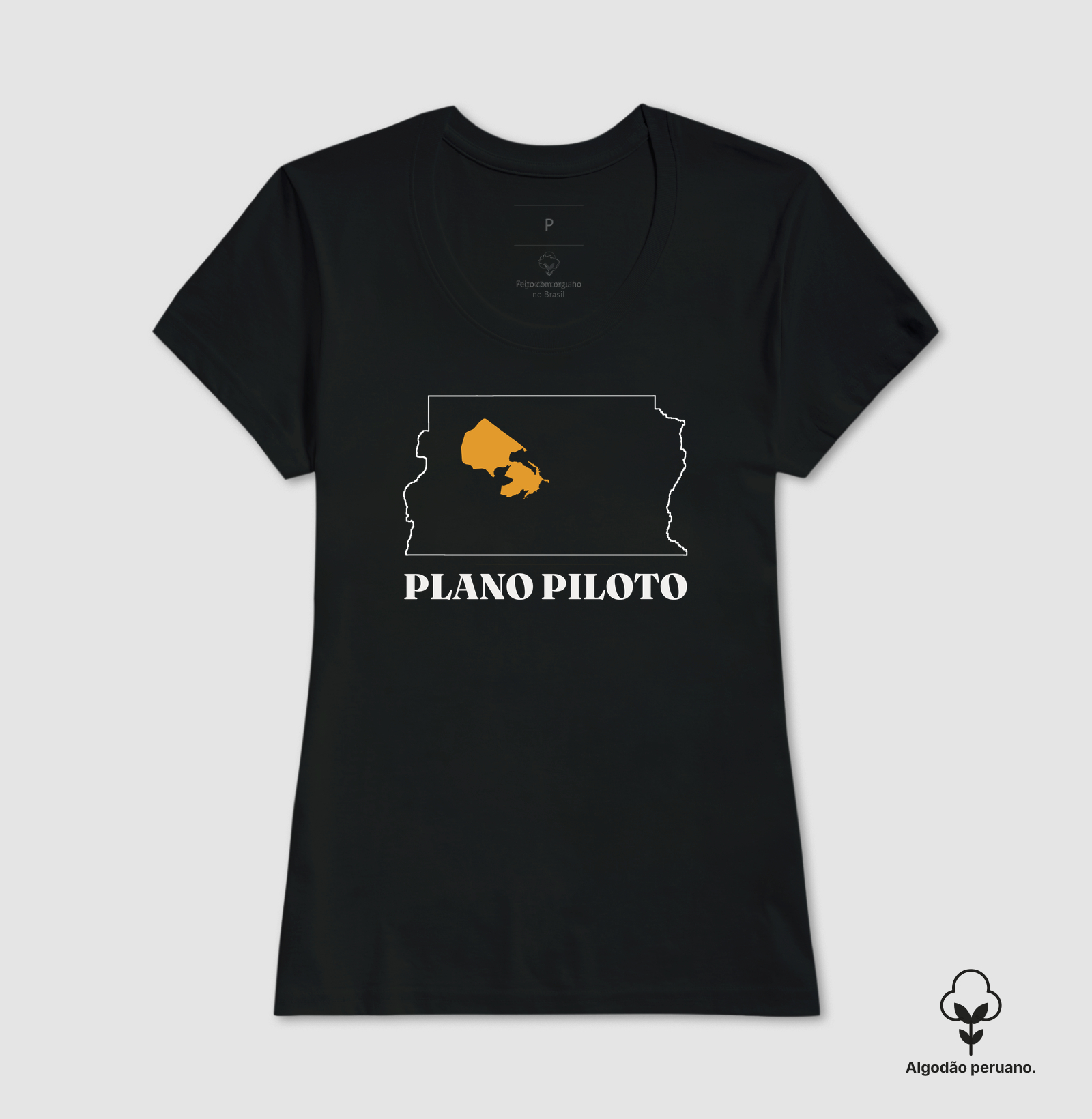 Plano Piloto | Traço DF - Imagem 2