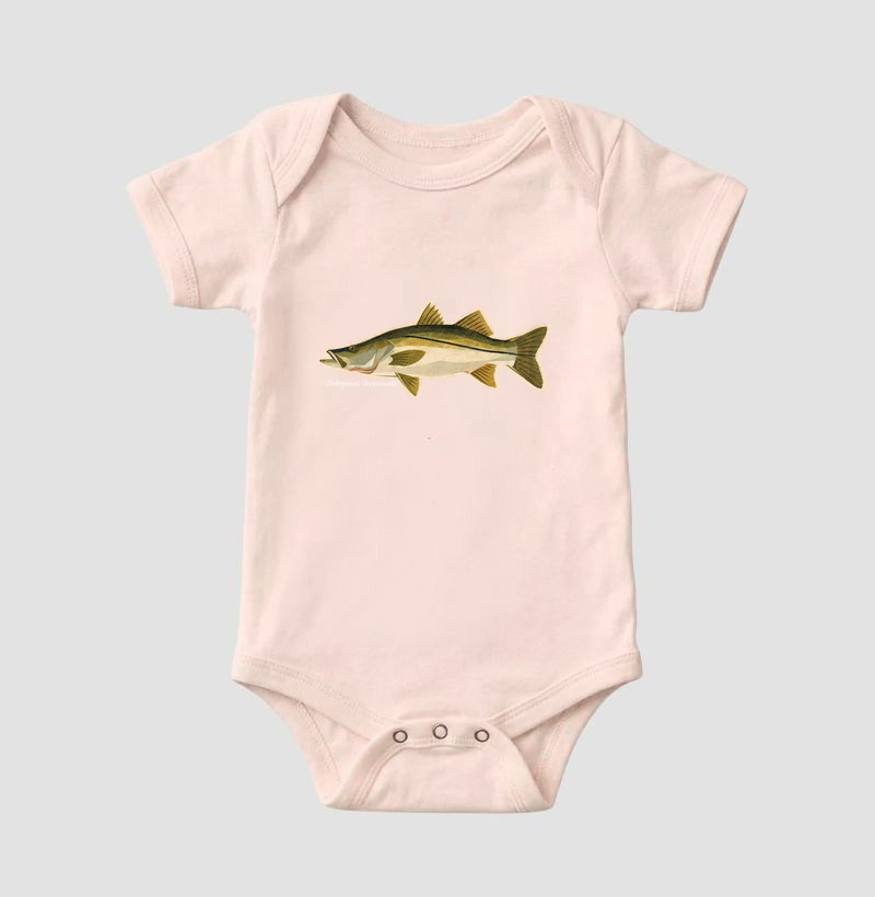 Robalo - Imagem 5