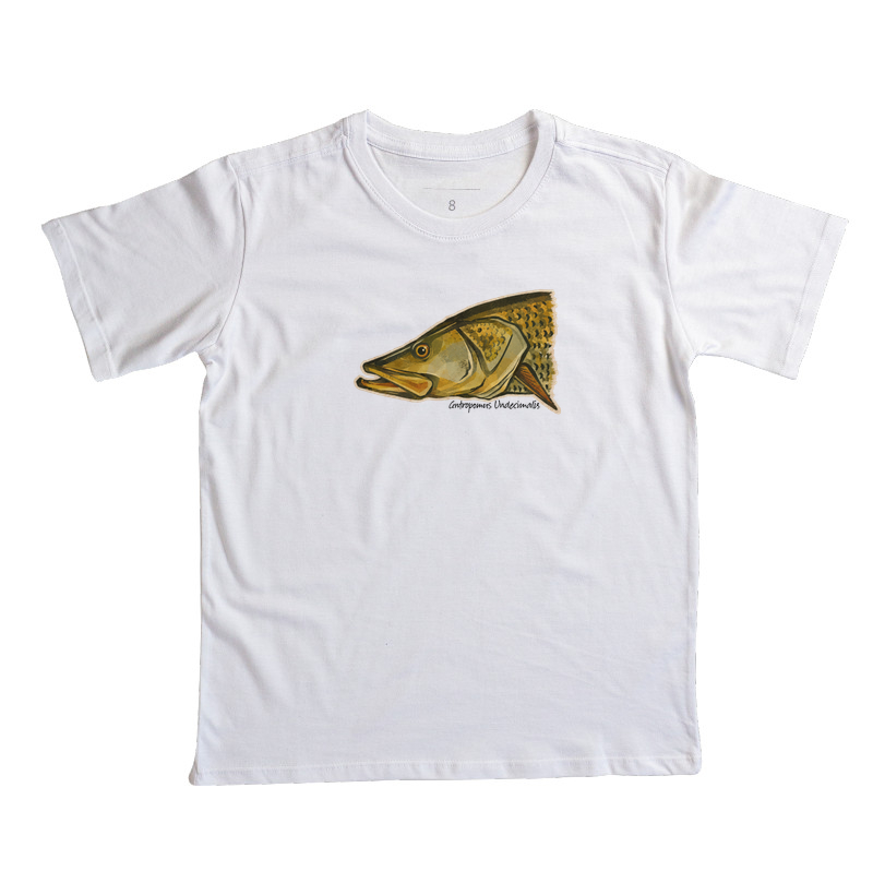 Robalo-Flecha - Imagem 6