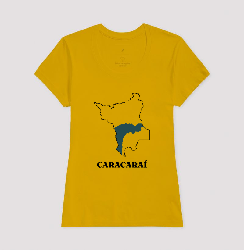 Caracaraí | Traço RR - Imagem 15