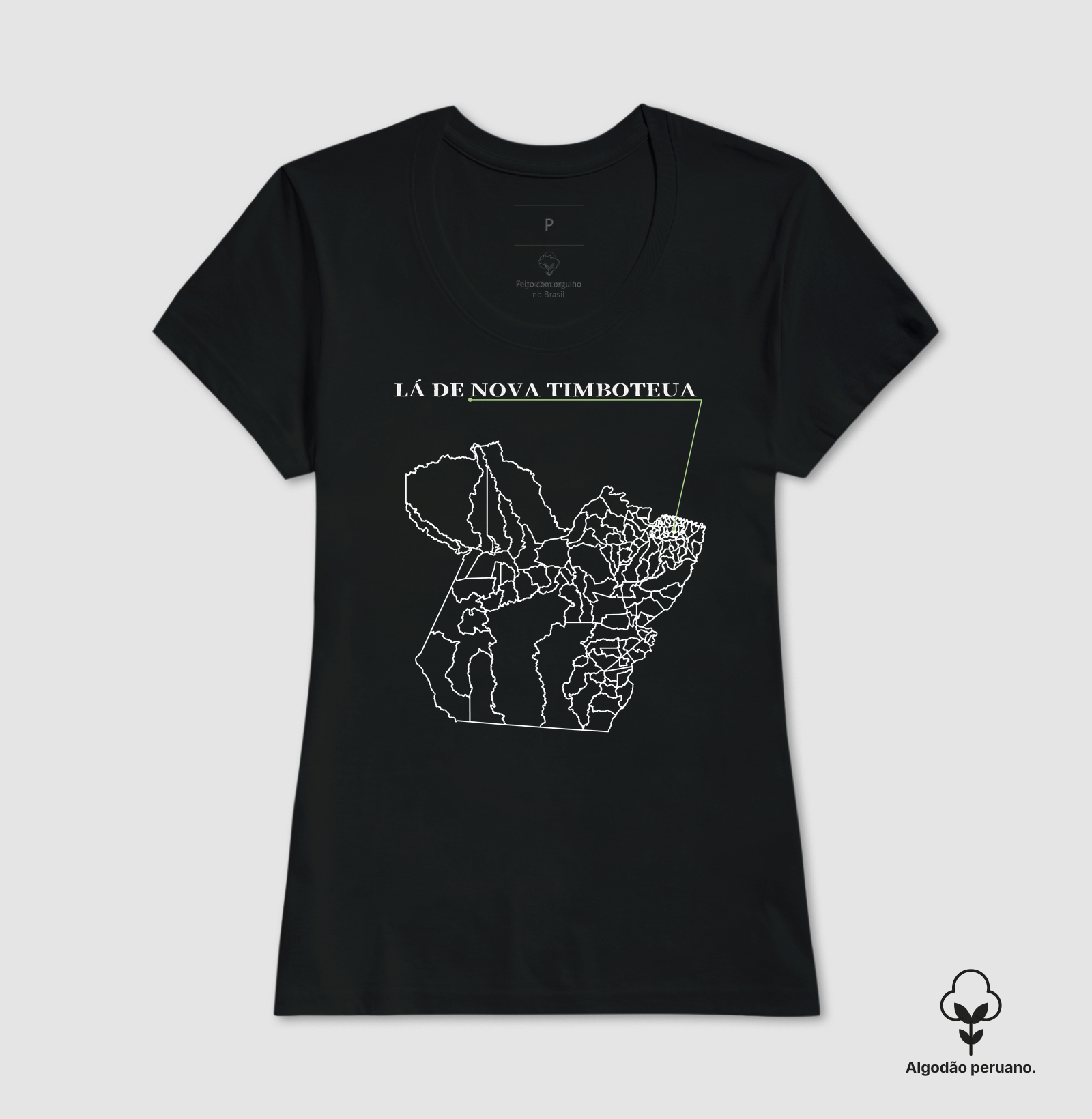 Nova Timboteua | Origem PA - Imagem 4