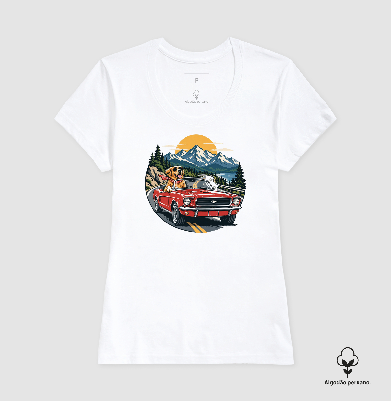 Road Trip - Imagem 5