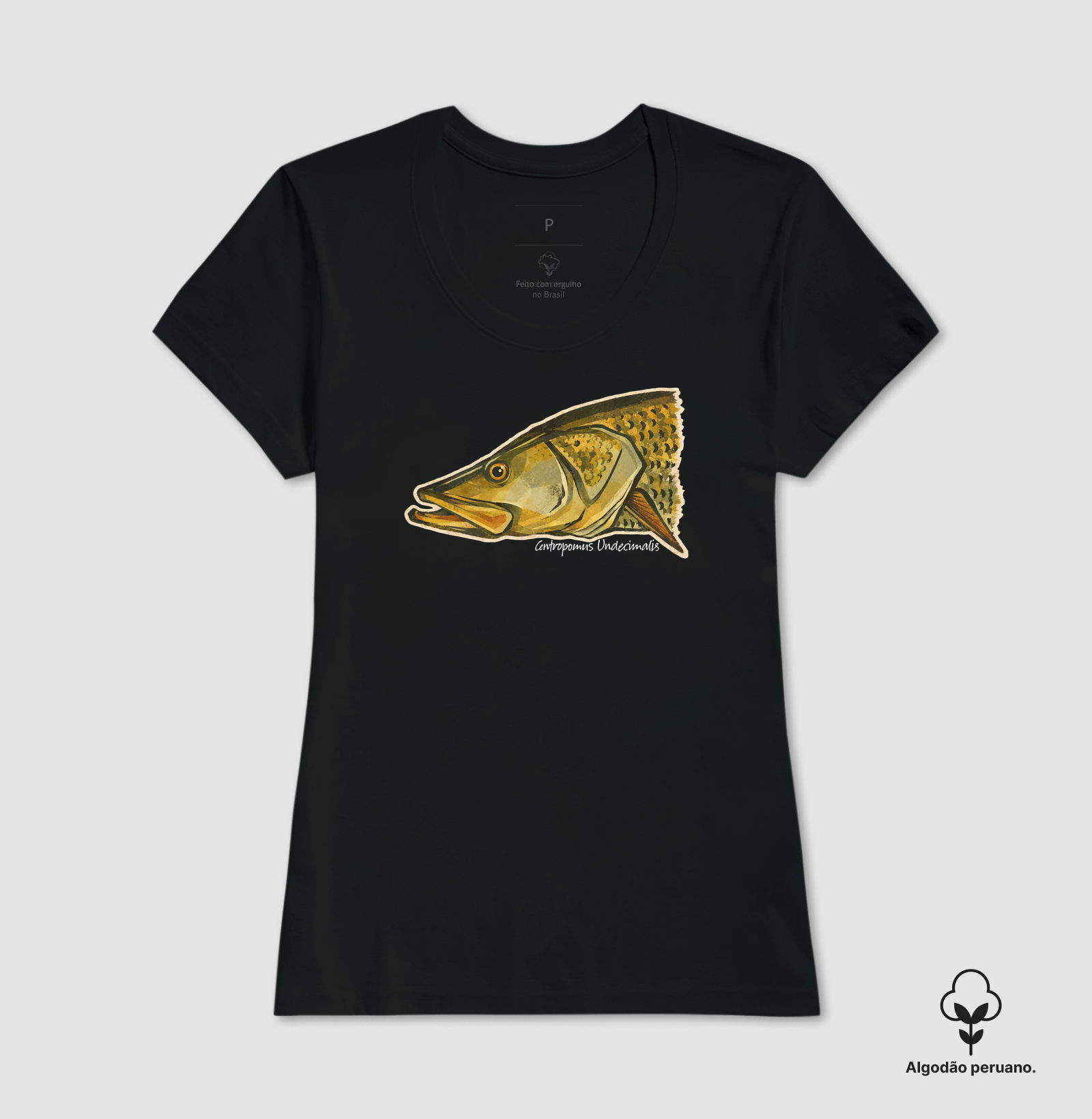 Robalo-Flecha - Imagem 2