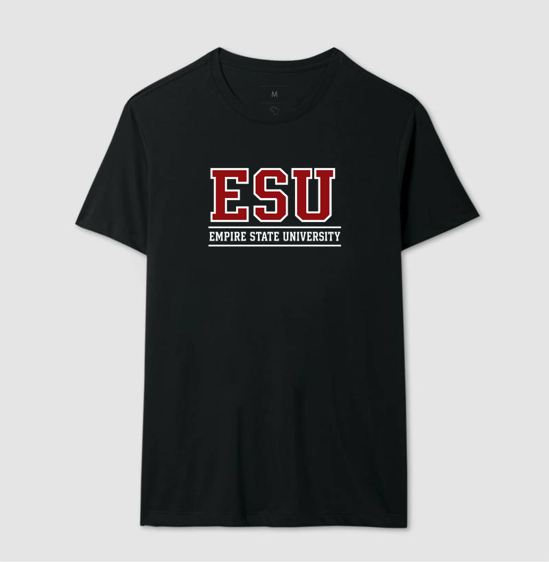 Empire State University - Imagem 5