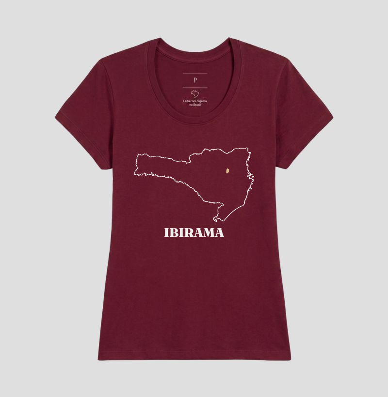 Ibirama | Traço SC - Imagem 19