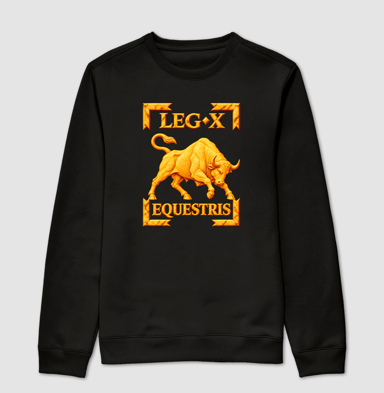 LEGIO — X Equestris - III - Imagem 4