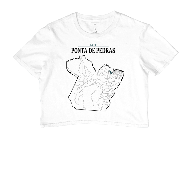 Ponta de Pedras | Território PA - Imagem 3
