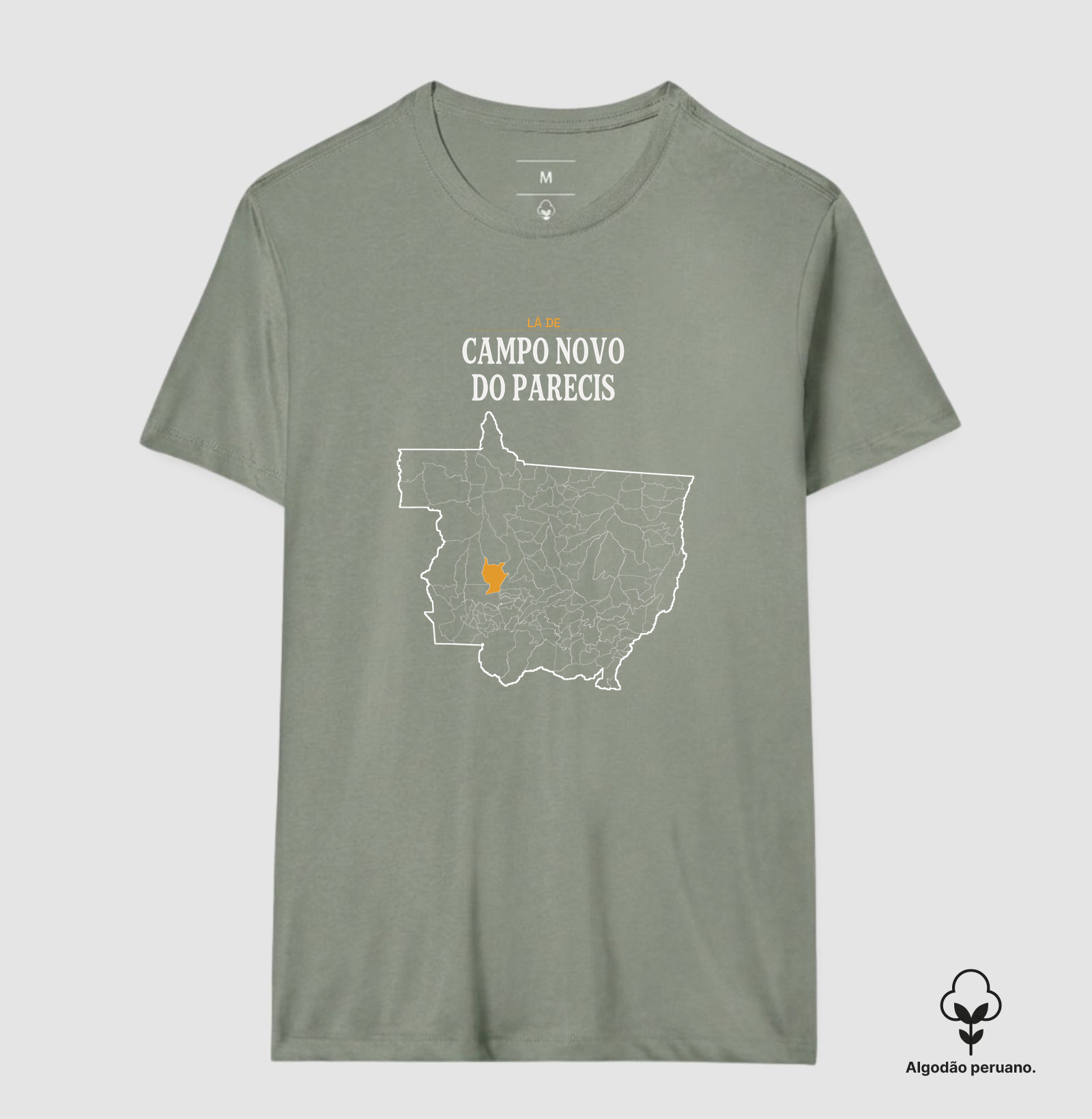 Campo Novo do Parecis | Território MT - Imagem 9