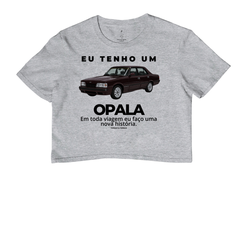 Eu tenho um Opala Diplomata vinho - Imagem 6