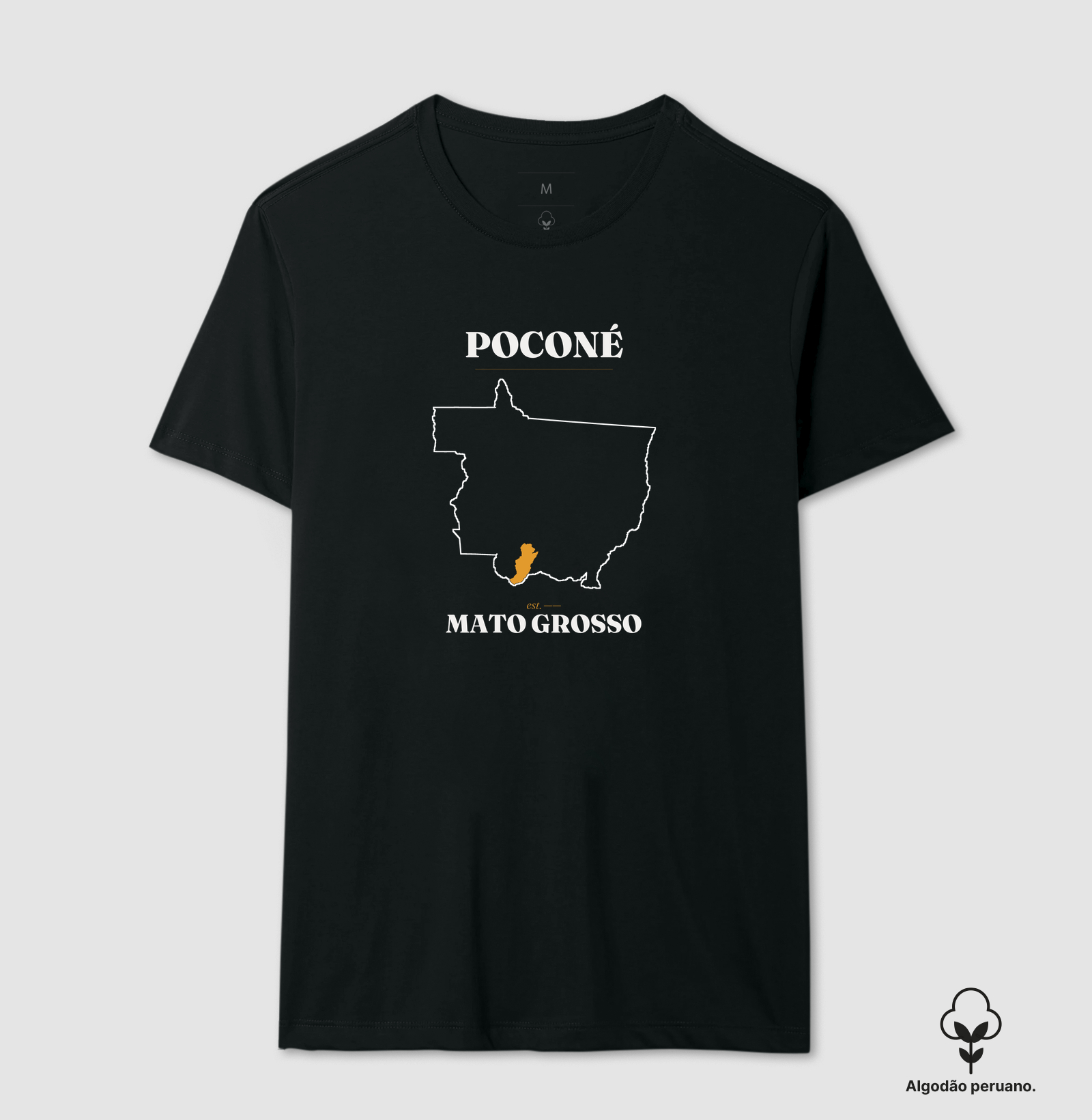 Poconé | Legado MT - Imagem 3