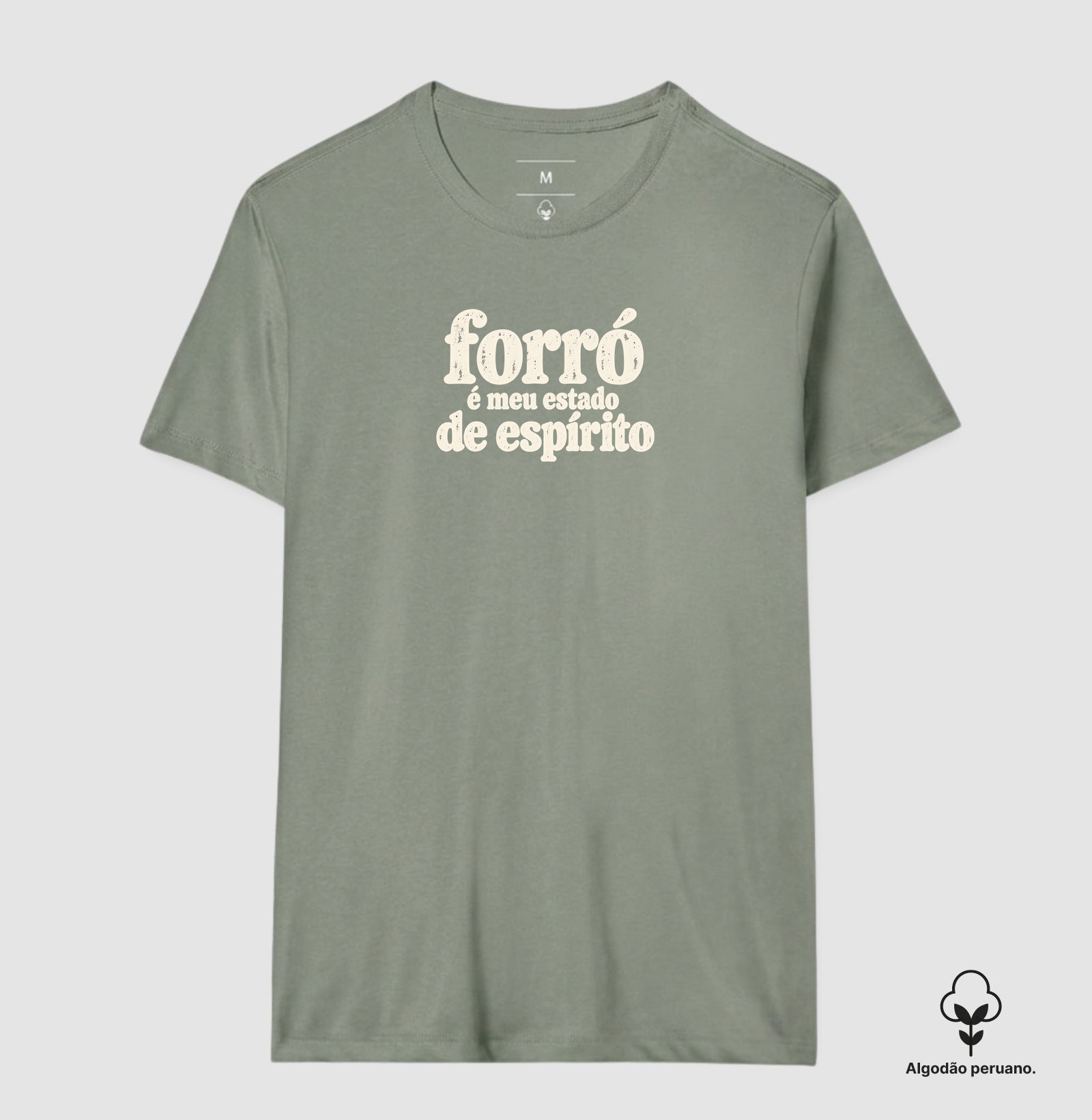 Forró é meu estado de espírito - Imagem 4