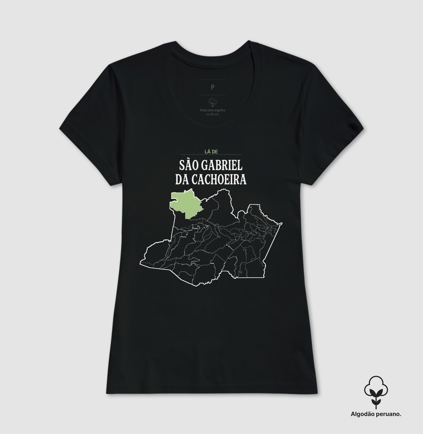 São Gabriel da Cachoeira | Território AM - Imagem 2