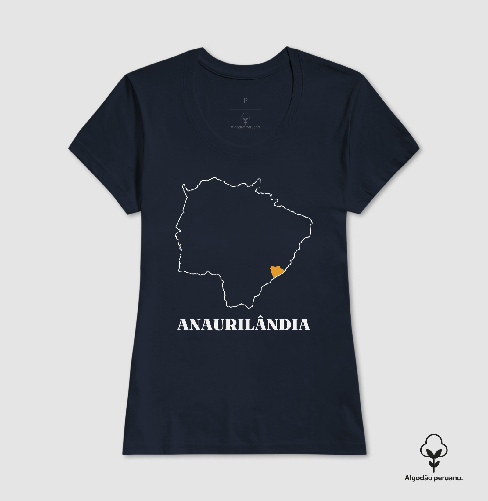 Anaurilândia | Traço MS - Imagem 7