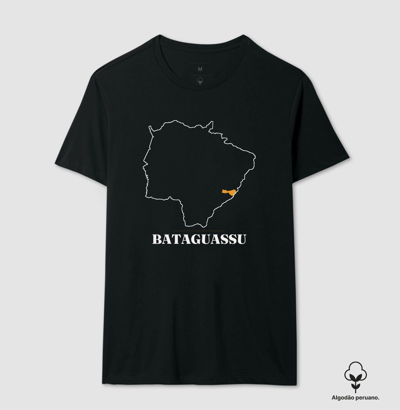 Bataguassu | Traço MS - Imagem 2