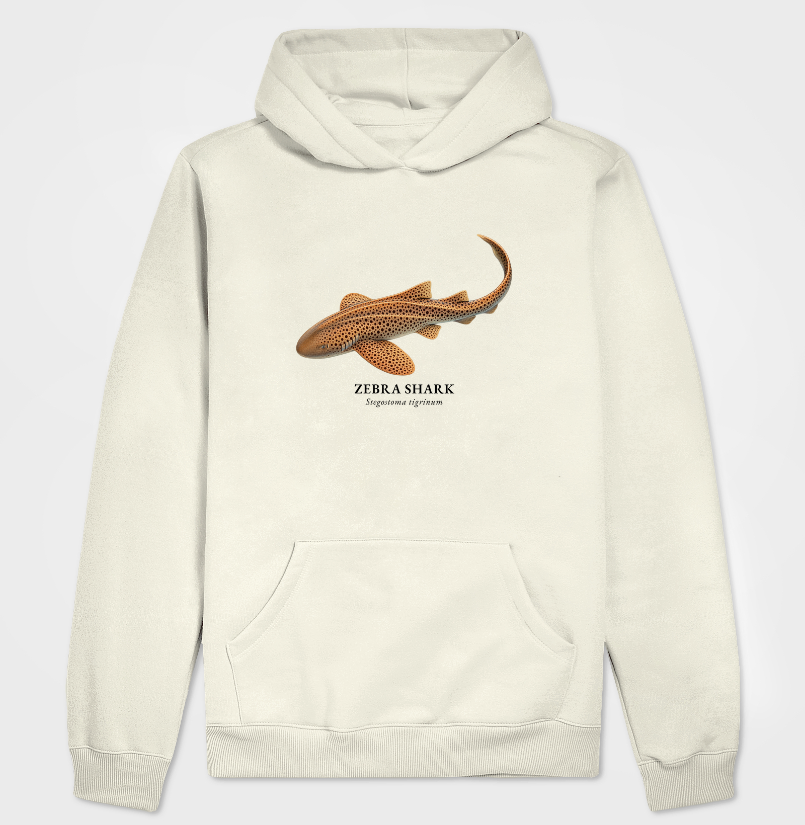 Zebra Shark - Imagem 3