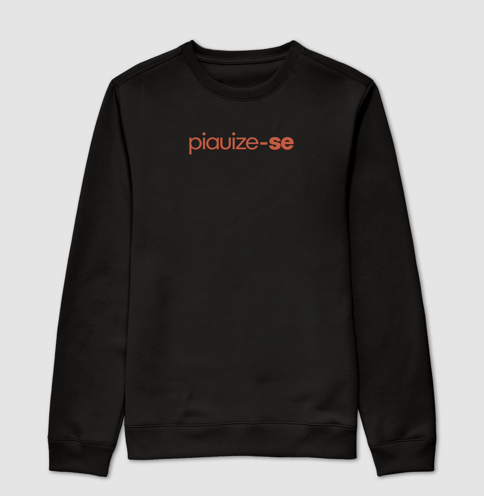 Piauize-se - Imagem 4