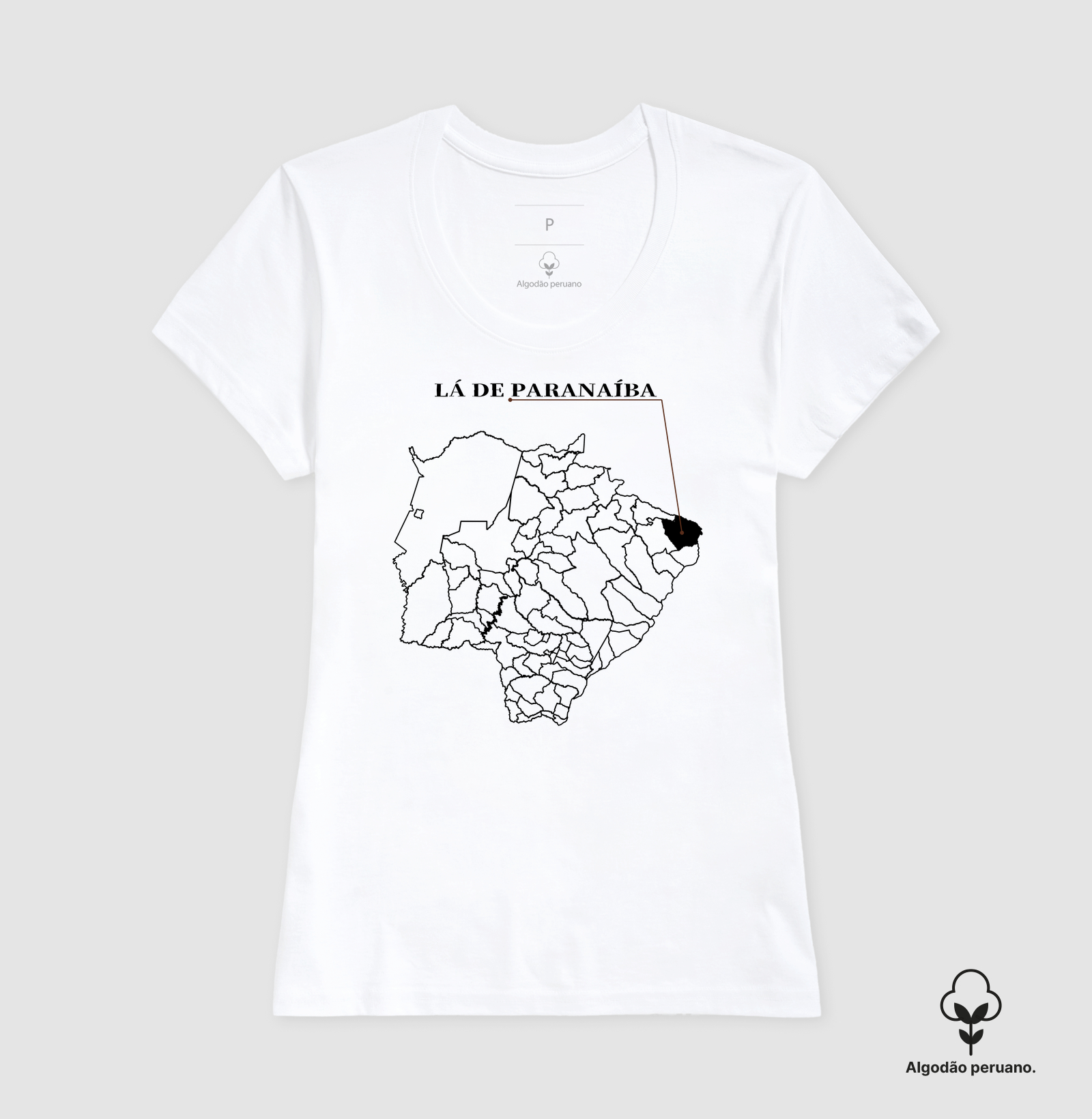 Paranaíba | Origem MS - Imagem 2