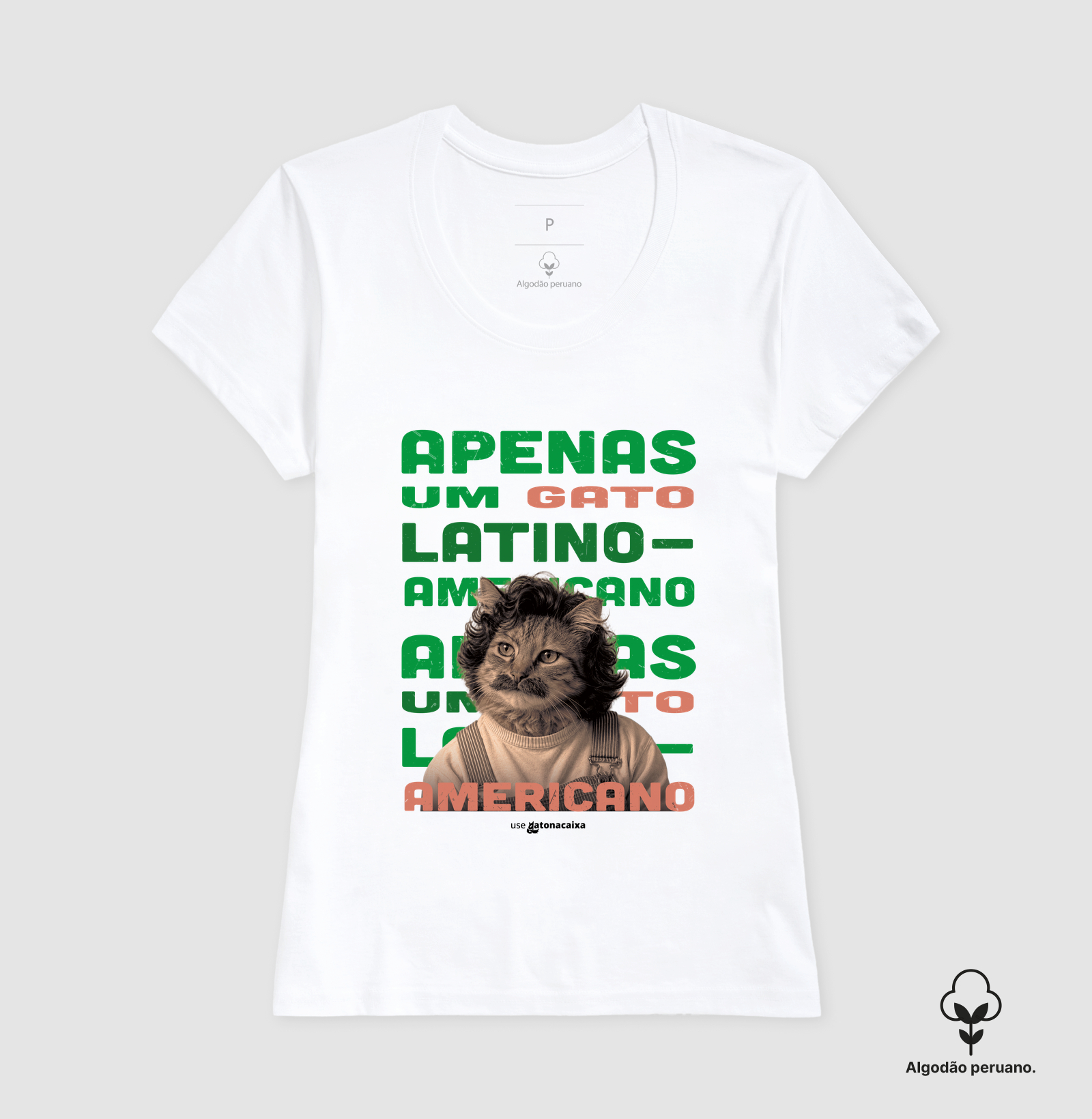 Apenas um gato latino-americano - Imagem 5