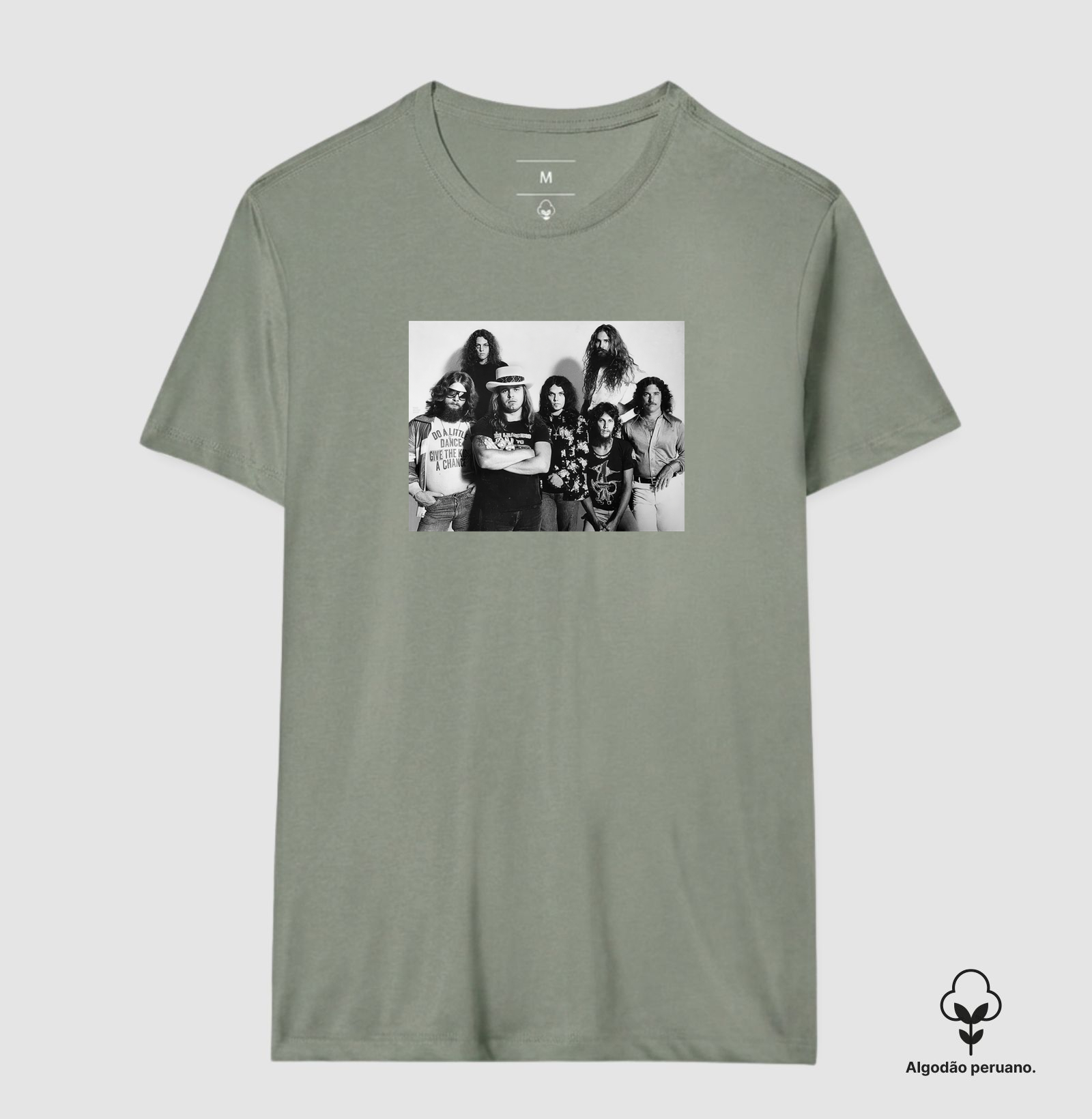 Lynyrd Skynyrd - 1977 - Imagem 5